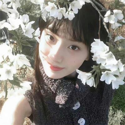 尘埃落定