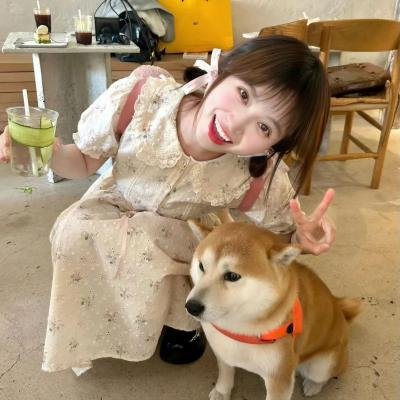 狗脸的日子